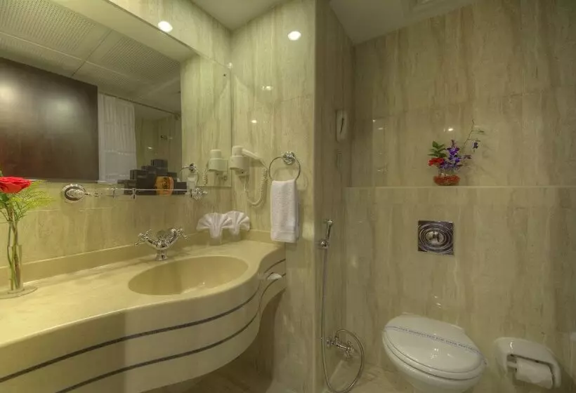 Fotos del hotel Fortune Grand Hotel:  51