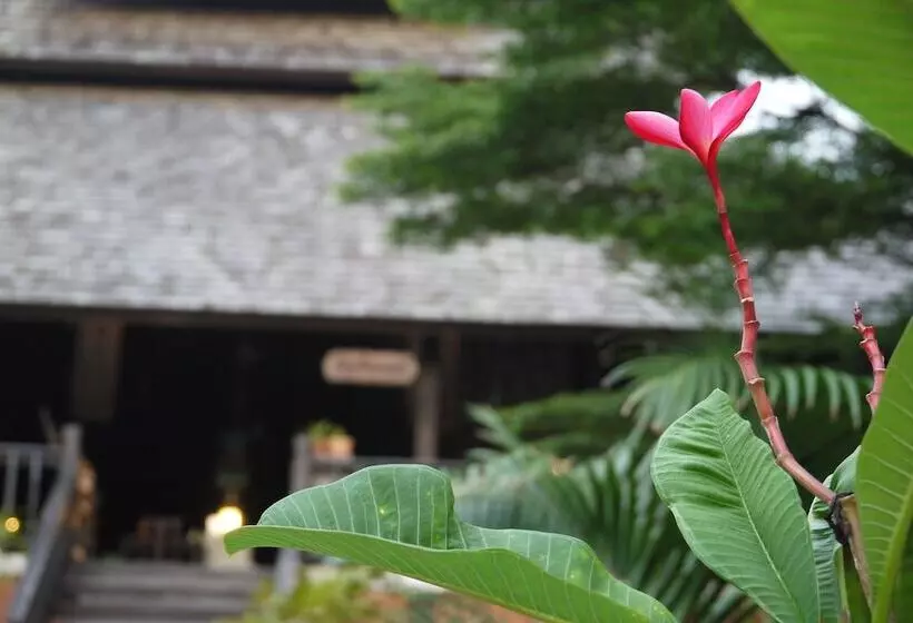 Fotos del hotel Rainforest Chiangmai:  11