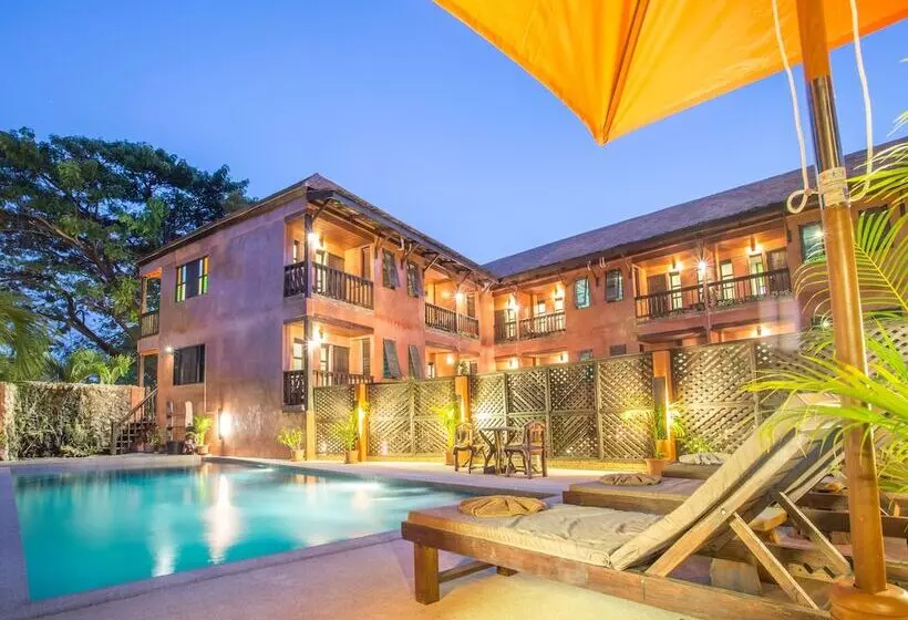 Rainforest Chiangmai