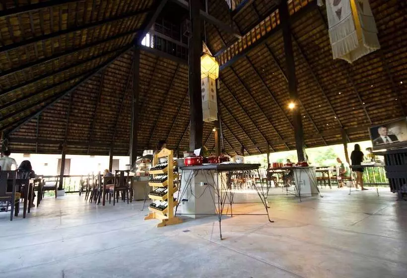 Fotos del hotel Rainforest Chiangmai:  15