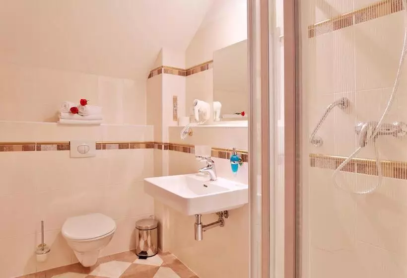 Fotos del hotel Villa Regent:  18