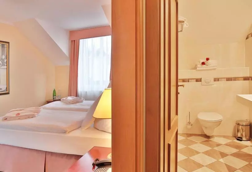 Fotos del hotel Villa Regent:  2