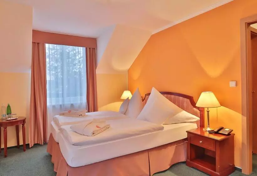 Fotos del hotel Villa Regent:  23