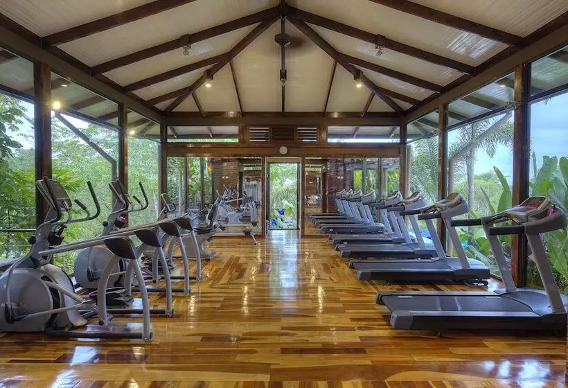 Fotos del hotel Nayara Gardens:  3