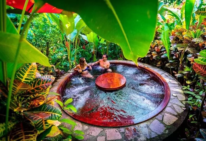 Fotos del hotel Nayara Gardens:  4