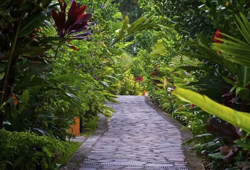 Fotos del hotel Nayara Gardens:  8