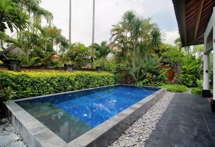 Fotos del hotel Sagara Villas And Suites:  19