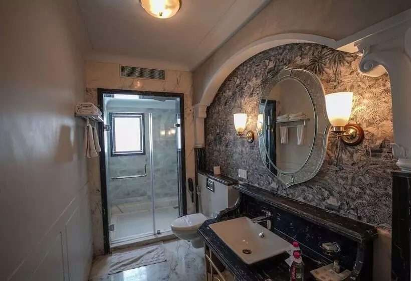 Fotos del hotel Shahpura House:  24