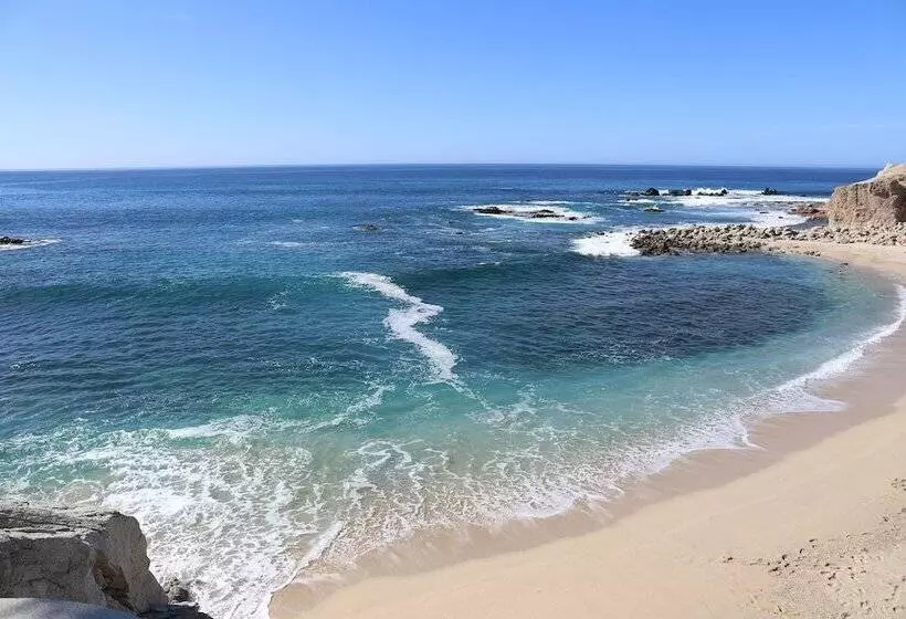 Fotos del hotel Welk Resorts Sirena Del Mar:  17