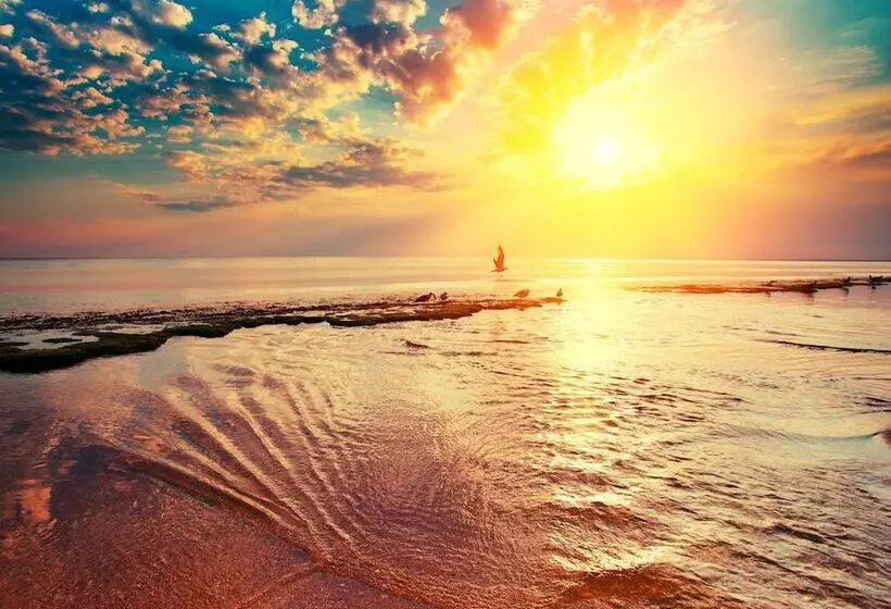 Fotos del hotel Amantra Resort And Spa:  12