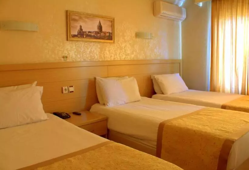 Fotos del hotel Royal Carine:  23