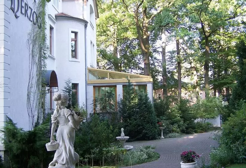 Fotos del hotel Villa Herzog:  23