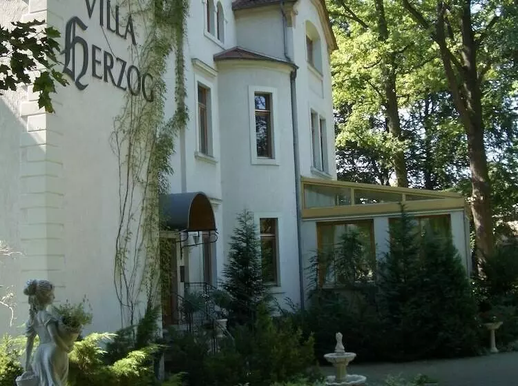 Fotos del hotel Villa Herzog:  18