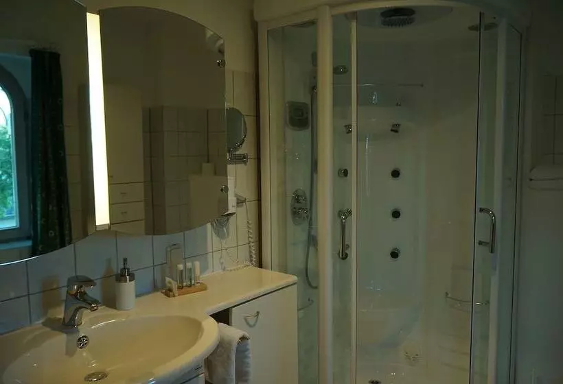 Fotos del hotel Villa Herzog:  19