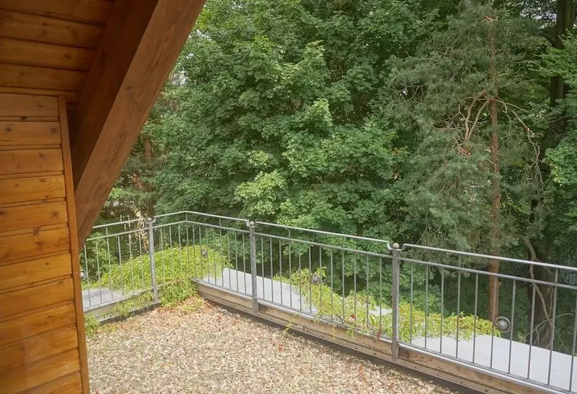 Fotos del hotel Villa Herzog:  13