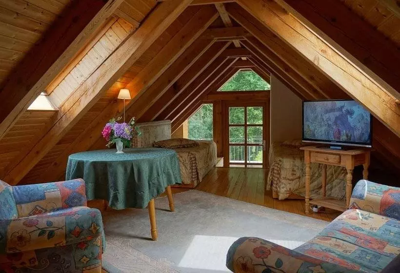 Fotos del hotel Villa Herzog:  22