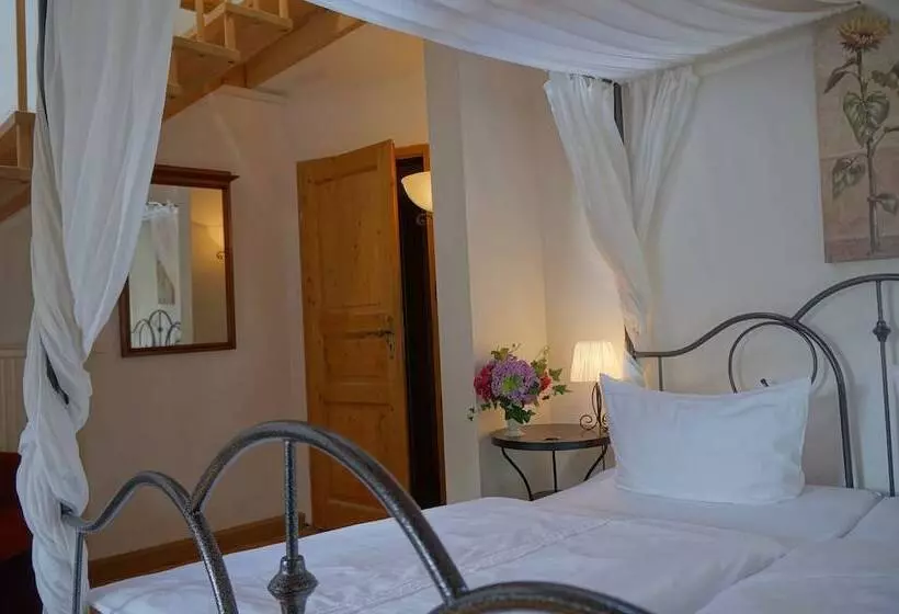 Fotos del hotel Villa Herzog:  17