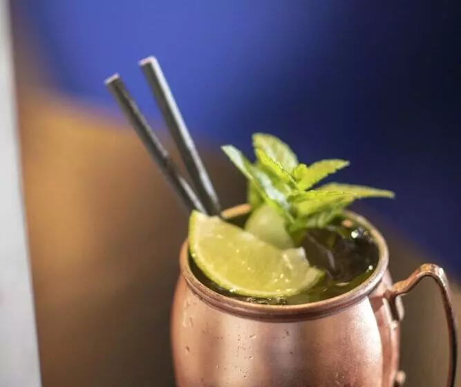 Fotos del hotel Aloft Brussels Schuman:  21