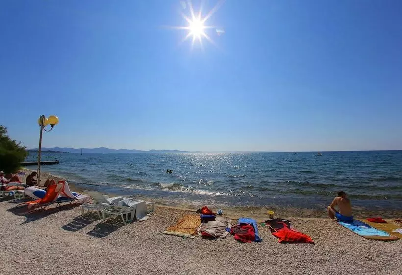 Fotos del hotel Villa Triana:  13