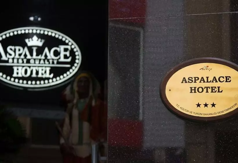 Fotos del hotel Aspalace Hotel The Istanbul Old City:  5