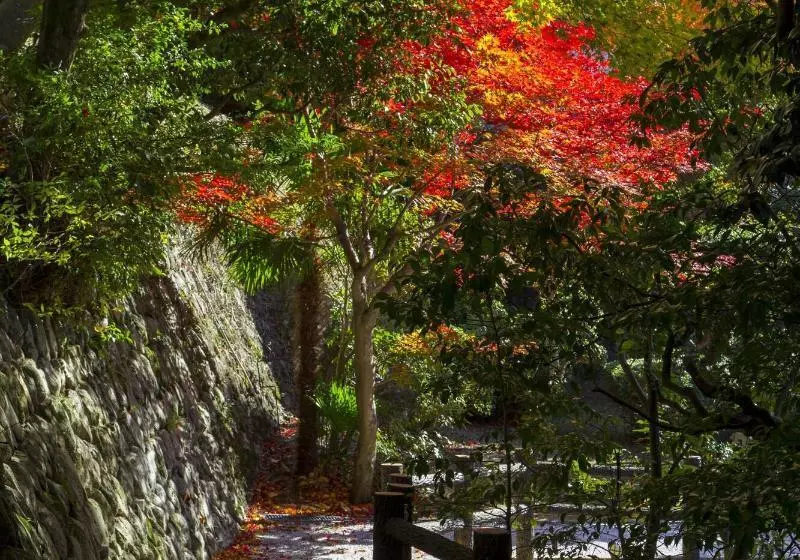Fotos del hotel Arima Onsen Motoyu Kosenkaku:  5