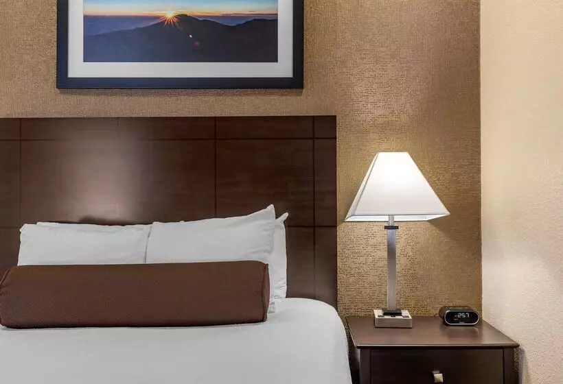 Fotos del hotel Best Western Plus Las Vegas West:  8