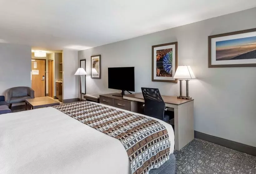 Fotos del hotel Best Western Plus Las Vegas West:  11