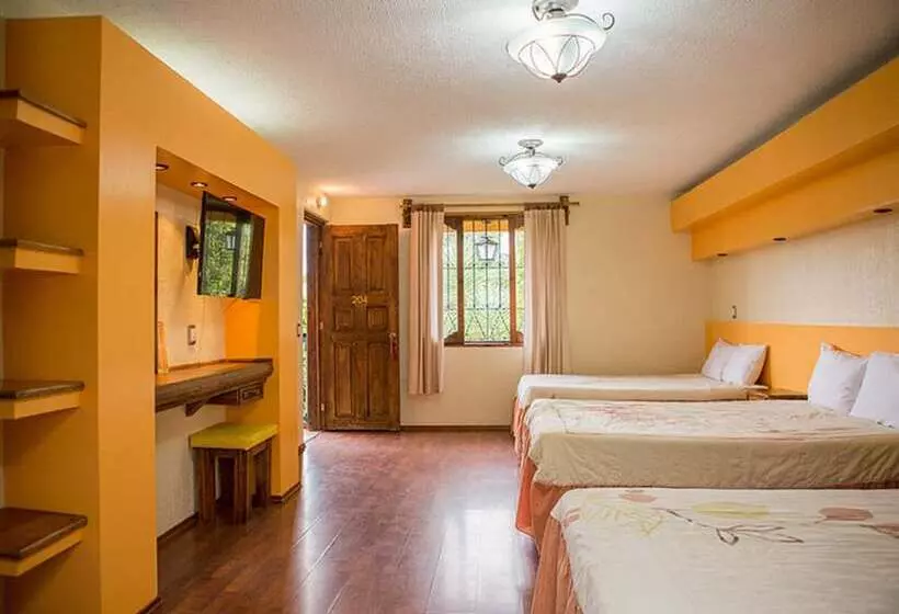 Fotos del hotel Gran  El Encanto:  9