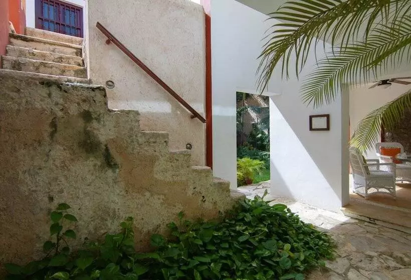 Fotos del hotel Boutique Casa Don Gustavo:  19