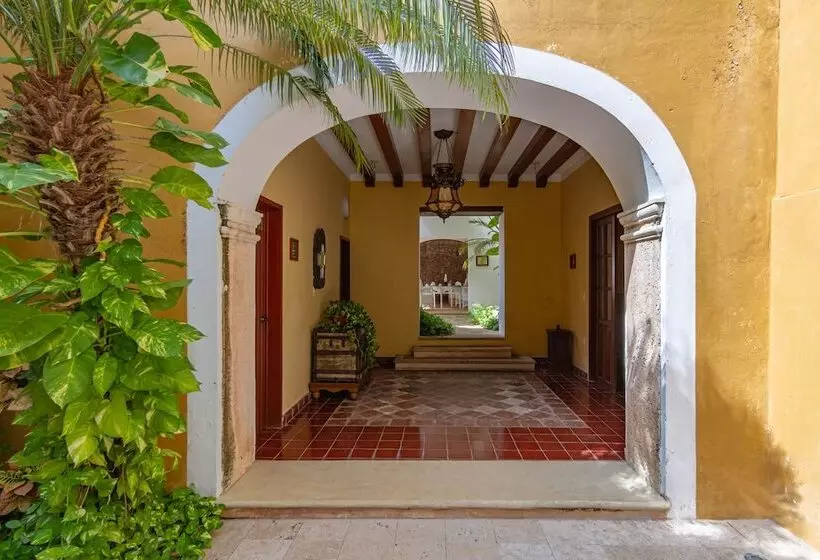 Fotos del hotel Boutique Casa Don Gustavo:  25