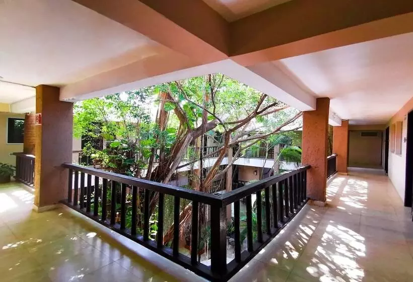 Fotos del hotel Grand  Colonial Cancun:  18