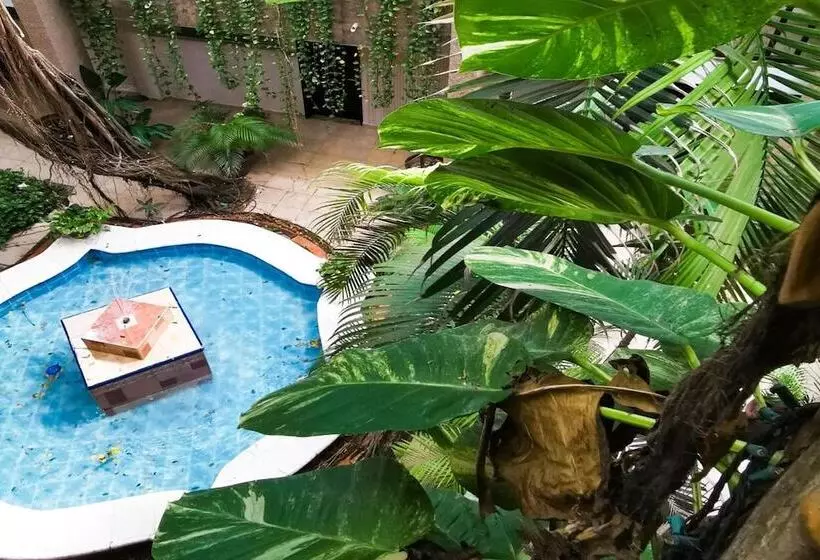 Fotos del hotel Grand  Colonial Cancun:  15