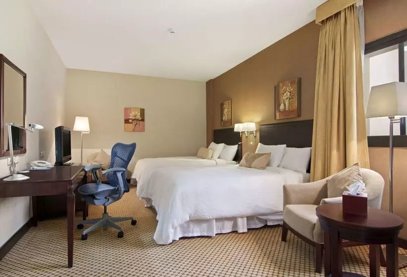 Fotos del hotel Hilton Garden Inn Riyadh Olaya:  15