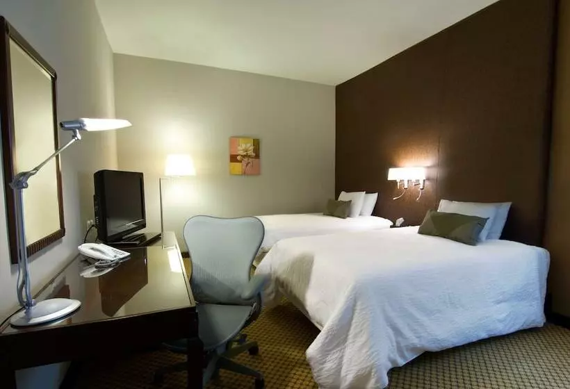 Fotos del hotel Hilton Garden Inn Riyadh Olaya:  7