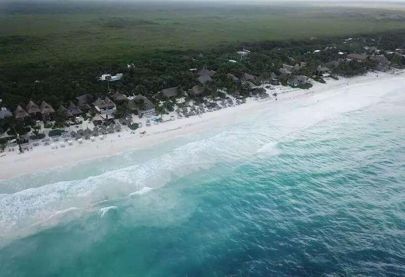 Fotos del hotel Hip Hotel Tulum:  7