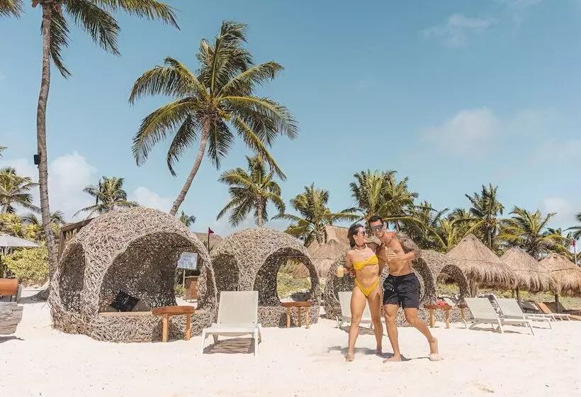 Fotos del hotel Hip Hotel Tulum:  13