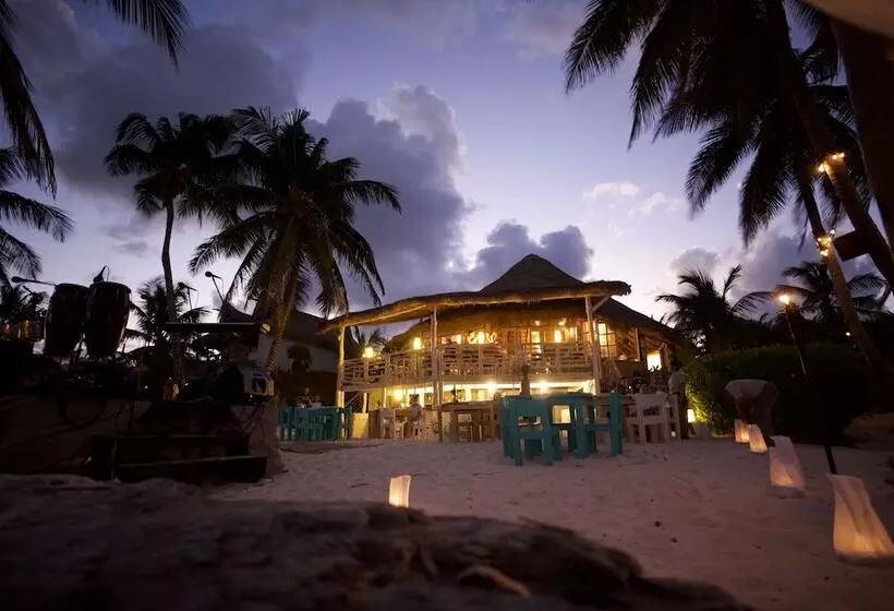 Fotos del hotel Hip Hotel Tulum:  22