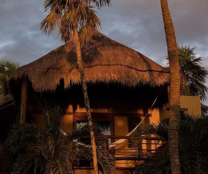 Fotos del hotel Hip Hotel Tulum:  11