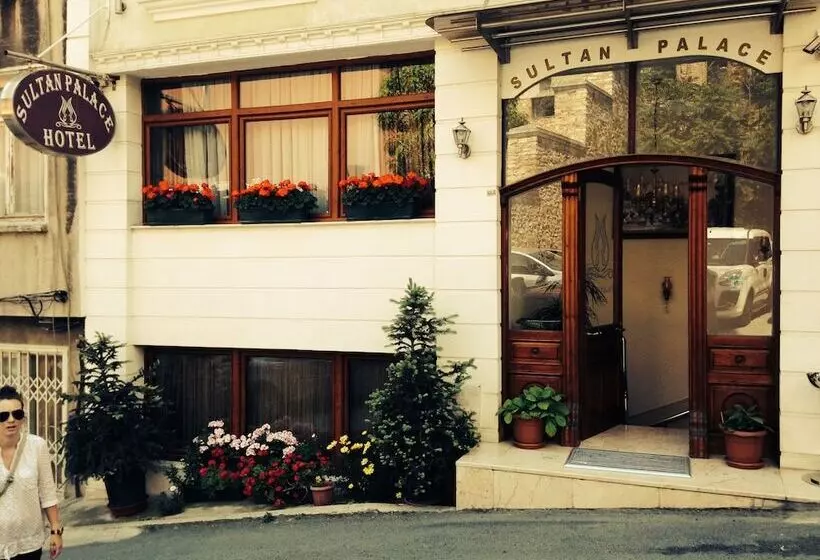 Fotos del hotel Sultan Palace Hotel:  19