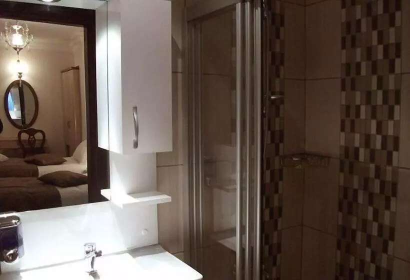 Fotos del hotel Sultan Palace Hotel:  10