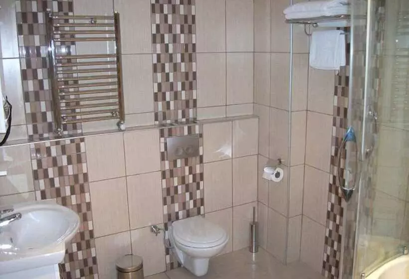 Fotos del hotel Sultan Palace Hotel:  5