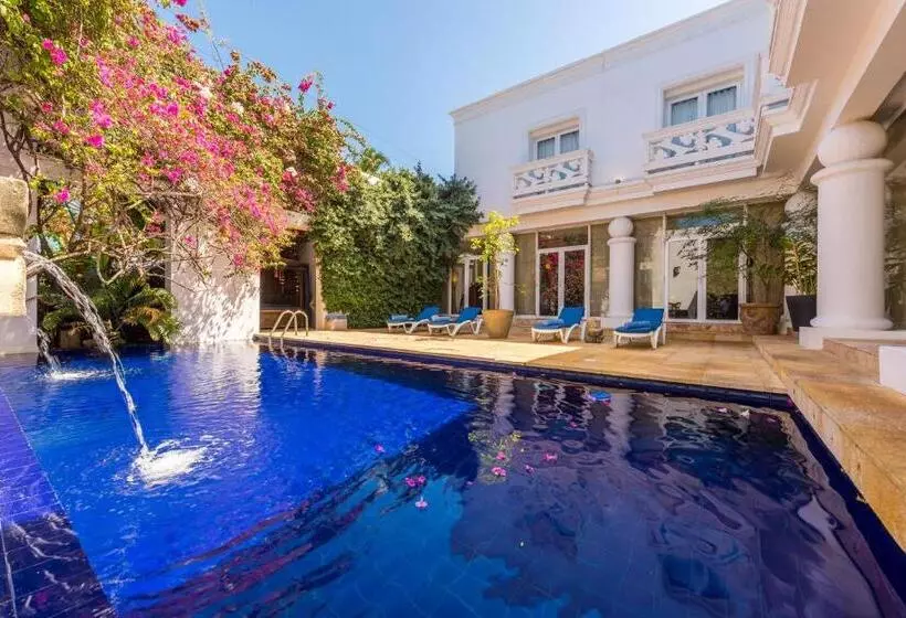 Fotos del hotel Casa Harb  Boutique:  5