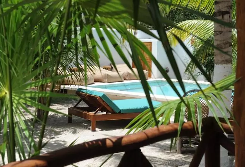 Fotos del hotel Casa Blatha Holbox:  8