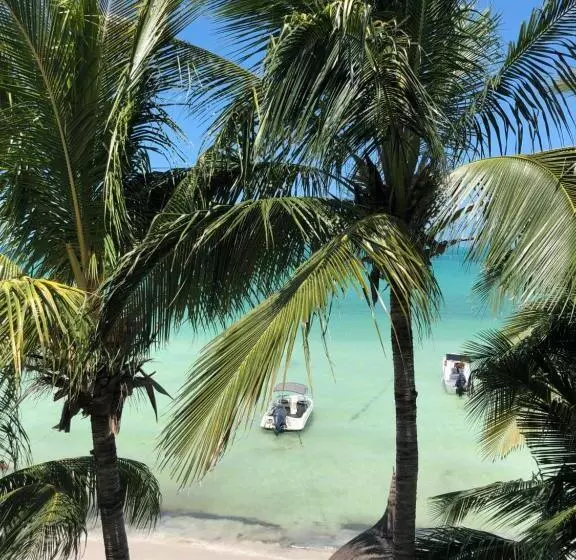 Fotos del hotel Casa Blatha Holbox:  11