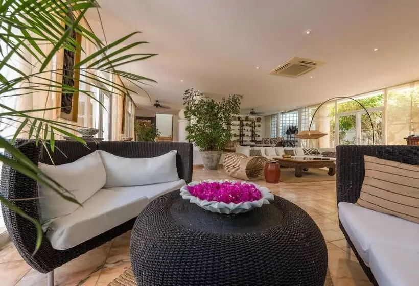 Fotos del hotel Casa Harb  Boutique:  15