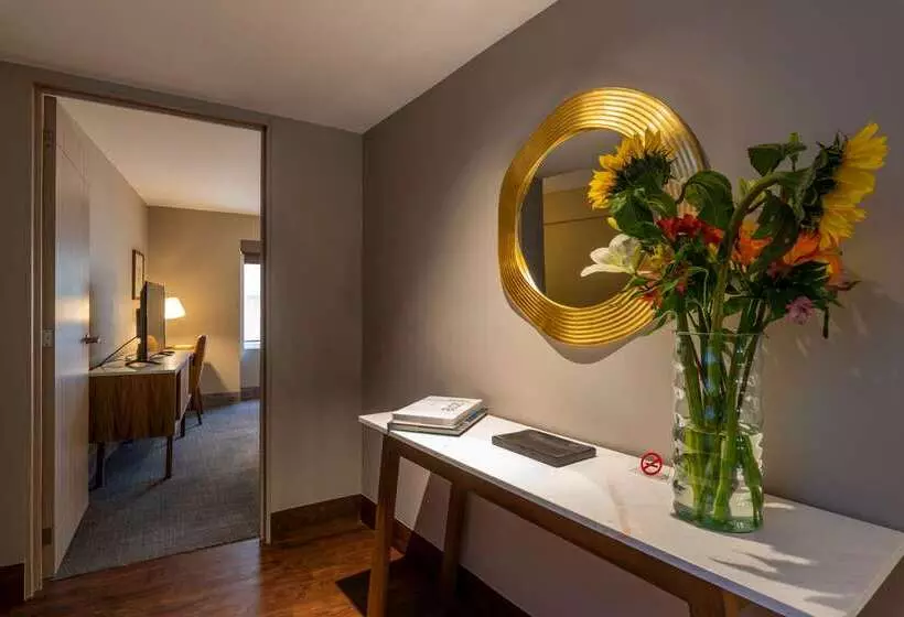 Fotos del hotel Dominion Polanco:  10