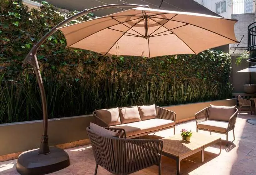 Fotos del hotel Dominion Polanco:  6