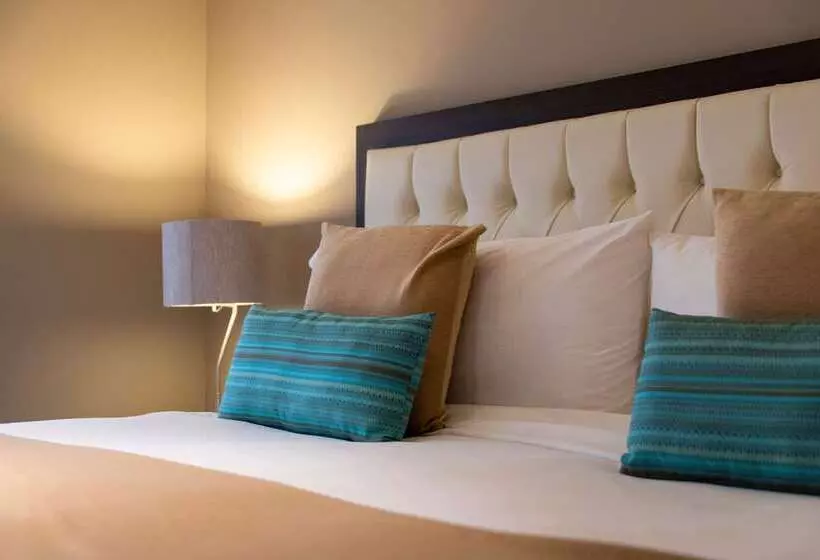 Fotos del hotel Dominion Polanco:  19