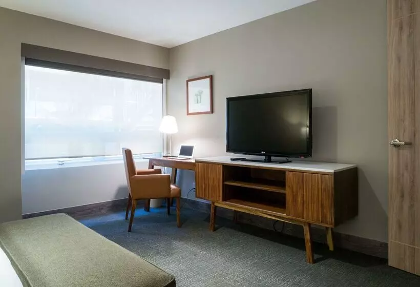 Fotos del hotel Dominion Polanco:  13