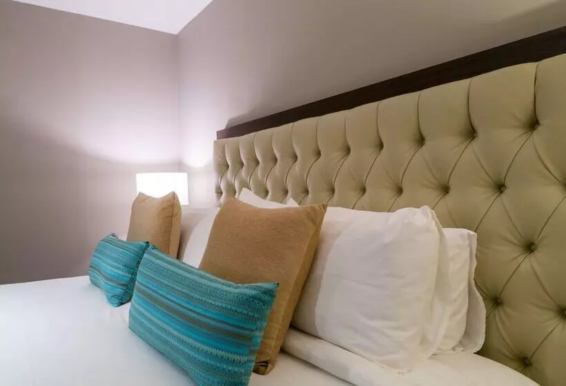 Fotos del hotel Dominion Polanco:  25